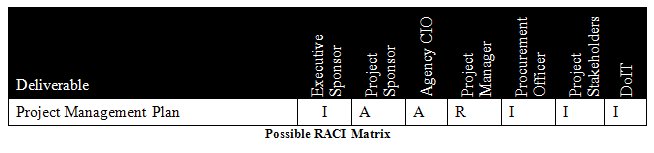 possible RACI matrix